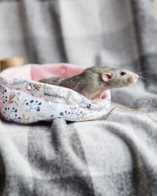 Зібрати Наборчик