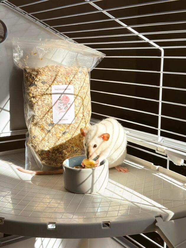 Зернова мішанка "My yummy rats" | Popcorn - Зображення 4