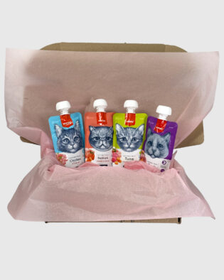 BIG Набір смаколиків Wanpy | 4 смаки