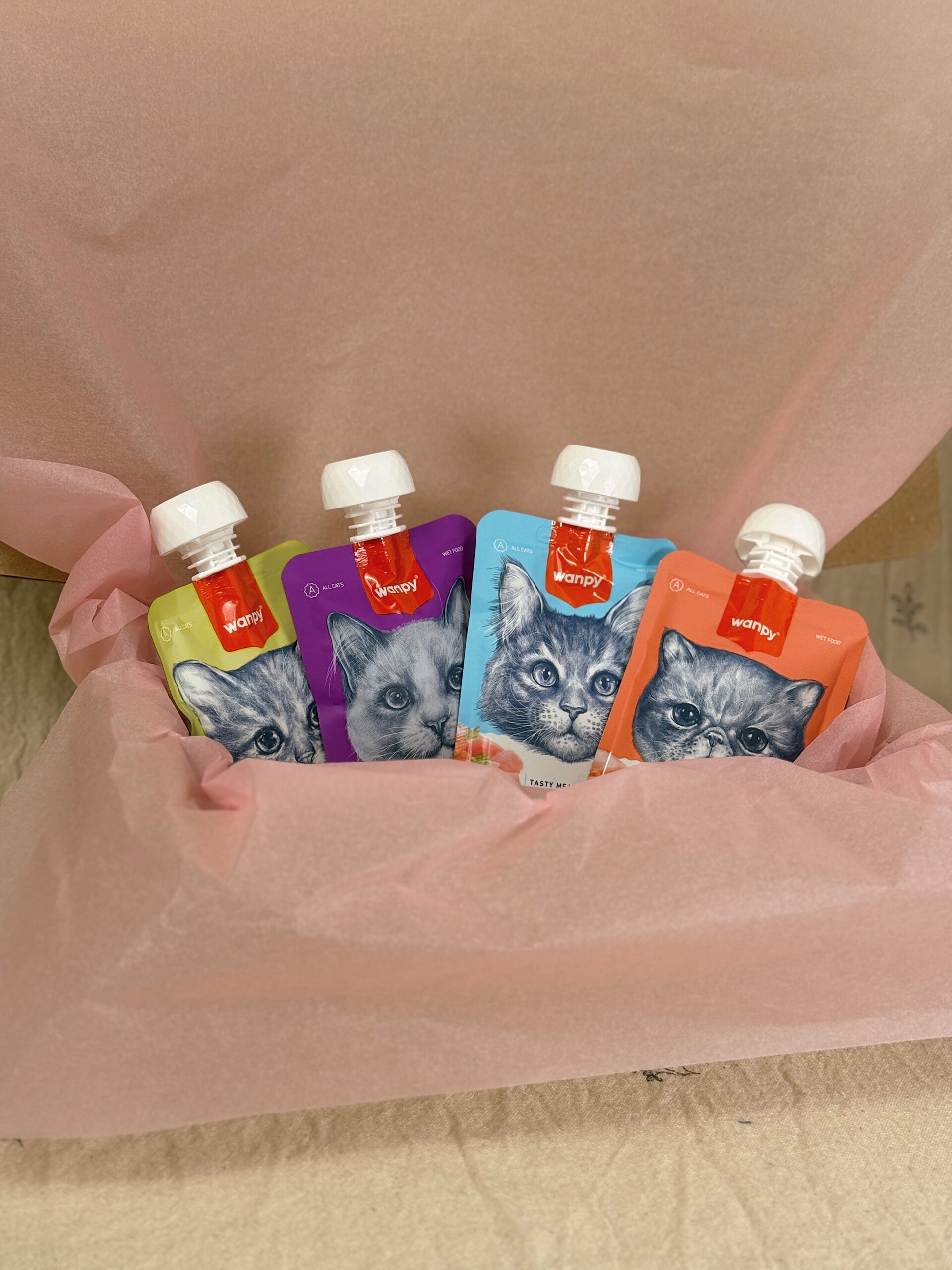 BIG Набір смаколиків Wanpy | 4 смаки - Зображення 3