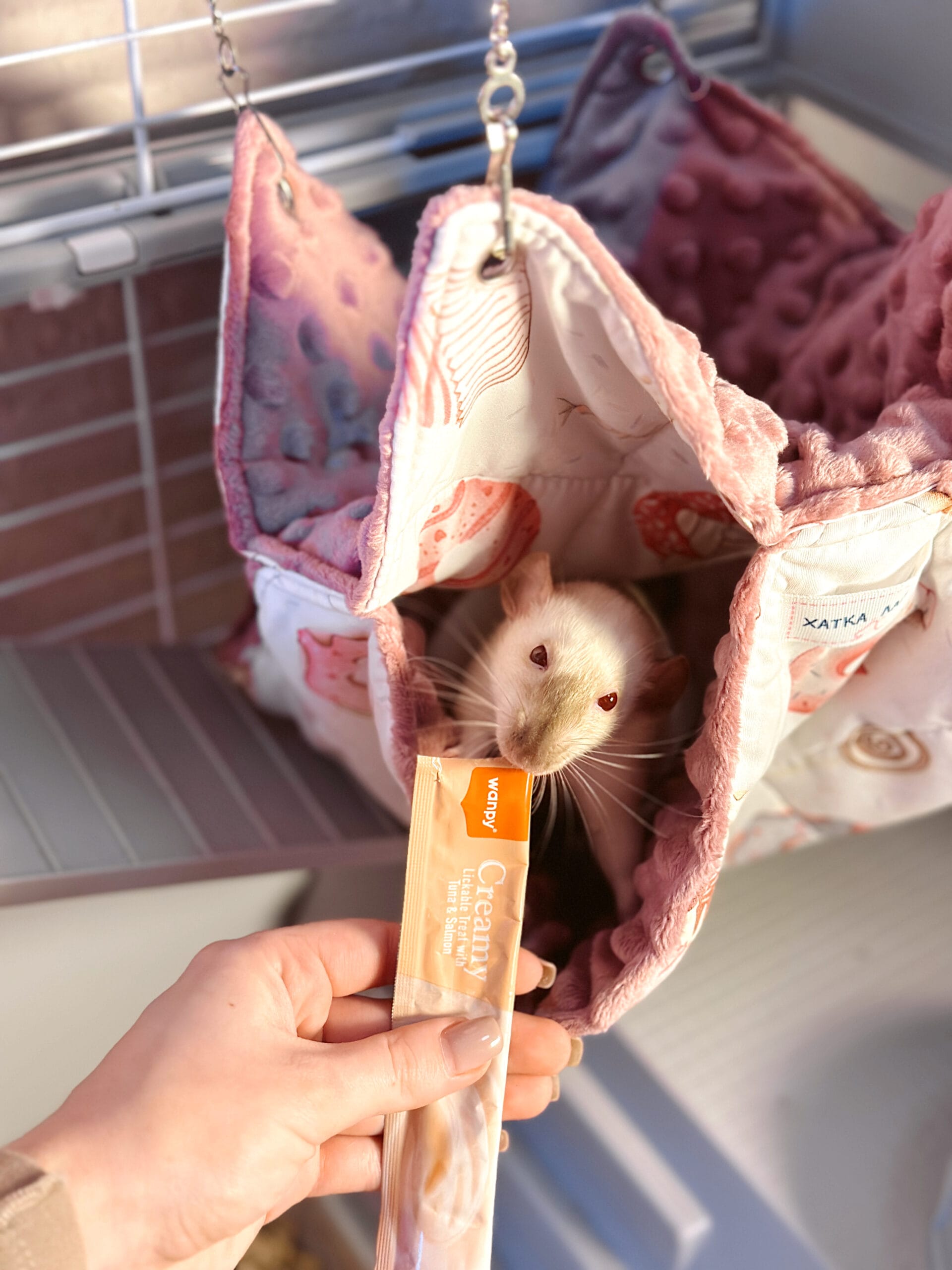 Смаколики Wanpy - Зображення 5